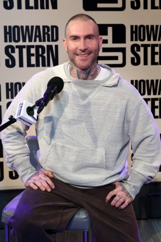 Read about Adam Levine and James Valentine Return
